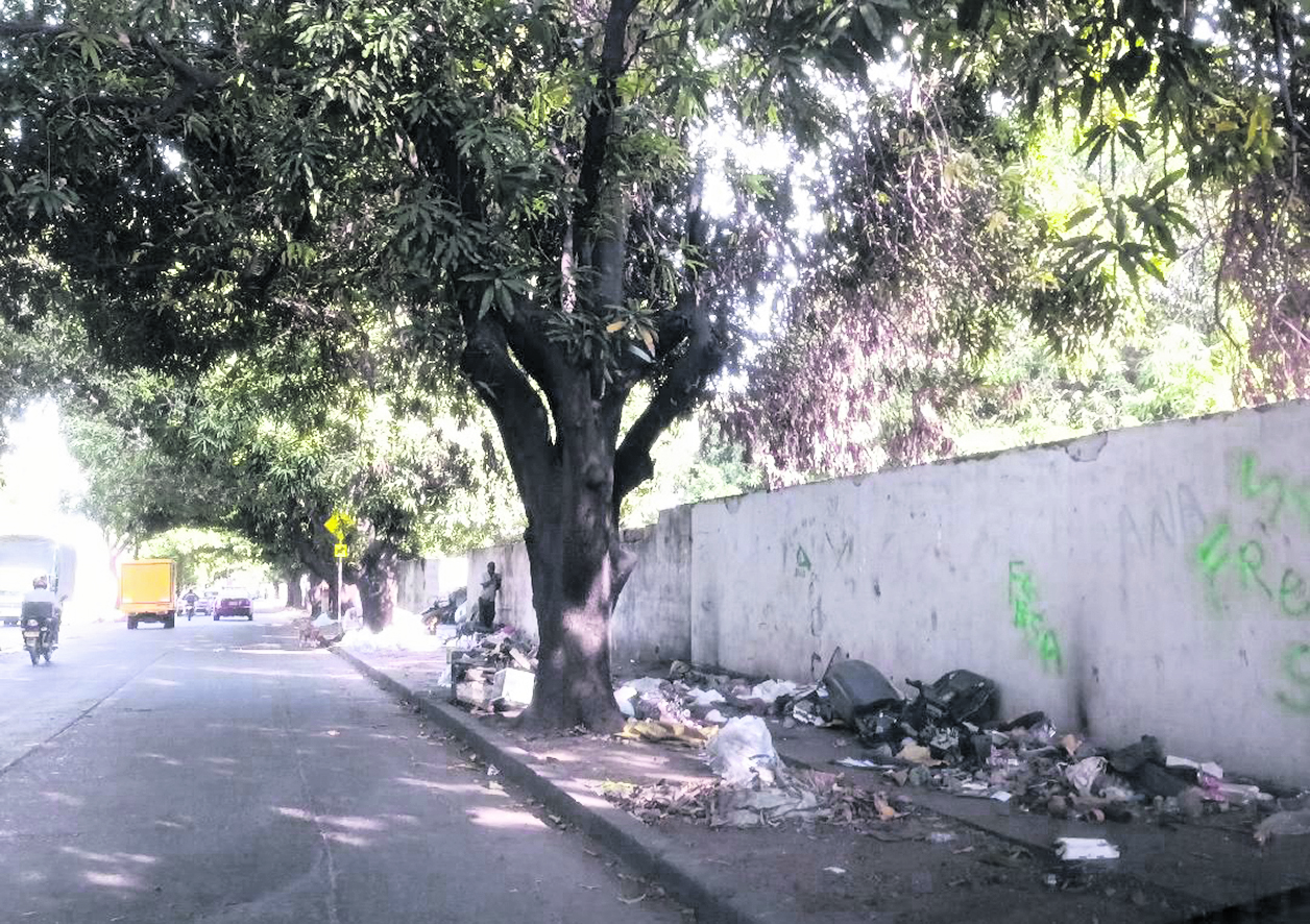 ‘Basura del Norte’: nuevo nombre en el 2026 | Semanario La Calle